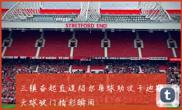 三镇奋起直追绍尔角球助攻卡迪斯头球破门精彩瞬间